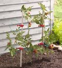 55699 Plow Hearth Tomato Tomboy