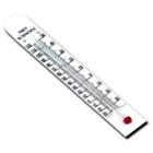 560240 C A White Back