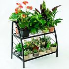 600377866164 Chopetree C-hopetree Plant Stand