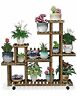 608119114344 Qooware Qoo Ware Solid Pinewood Multi Plant Stand