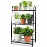 608571725652 Micgeek Plant Stand For Indoor Tier Metal Tall