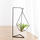 6219590751696 Mkono Air Plant Holder