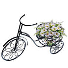 638888636594 Trademark Innovations Iron Bicycle Plant