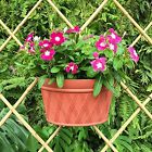 647971922001 Mrgarden 3 Pcs Mr