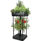 6520tg-ds Flambeau Upside-down Patio Garden 071617012182
