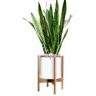 657228008891 Stands Indoor Plant Width Acacia Wood Excluding White