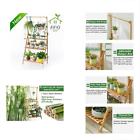 674551260802 Bamboo Hanging Plant Stand Planter Shelves Flower Pot