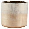 679418043420 Rivet Amazon Brand Rustic Stoneware Crosshatch Indoor Outdoor