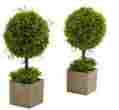 6821-s2 Unbranded Nearly Natural Boxwood Topiary W Planter Indoor And Outdoor Plant Set Of 2