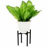 689354974122 Opulen Designs Plant Holder For Indoor And Outdoor