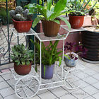 6902210027508 Unbranded 6 Tier Flower