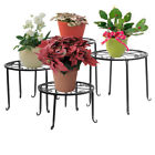 6902210215943 Unbranded Black Wrought Iron In Pot Plant Stand