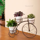 6902210343097 Unbranded 3 Tier Bronze 6902210343103