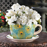 691190808035 Unbranded Peacock Feather Tea Pot Design Planter Garden