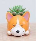 6915757757050 Cuteforyou Cute Animal Shaped