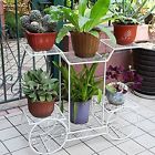 6933331681317 Dazone Metal Cart Flower