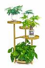 696629640941 Tangchaoo Tier Plant Stands Indoor Metal Shelf Stand