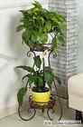 702455007466 Aishn Bronze Indoor Display Rack