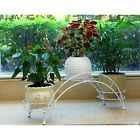 702455007756 Aishn Elegant Arch Design