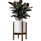 711717685489 Timeyard Acctractive Stands Mid Century Floor Plant Solid