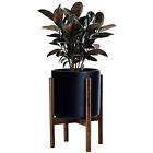 711717685922 Timeyard Mid Century Plant Stand Best Fits Flower