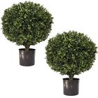 712038503582 Seven Oaks Tall Round Artificial Topiary Ball Boxwood