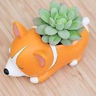 713803149424 Hehen Cute Animal Shaped