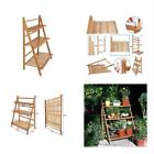 725423022599 Ogori Bamboo Wood Ladder Plant Stand Tier Foldable