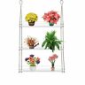 726361773567 Dengfeng Hanging And Tier Window Plant Shelf Decorative