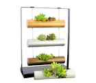 728290869656 Sommerland Vertical Garden Planting