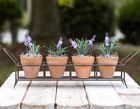 730792218634 Colonial Tin Works Iron Tabletop Stand With Four
