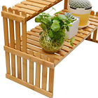 742354004661 Mugiazii Natural Bamboo Plant