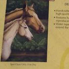 746851637254 Evergreen Horses 29 X