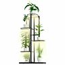 768253775273 Osree Metal Plant Stand With Grow Lights Stands