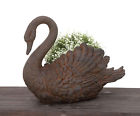 7758997 Urban Designs Swan Cast 815370029021