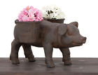 7798997 Urban Designs Happy Piggy 815370029069