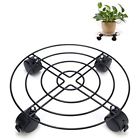 781903613725 Metal Caddies Plant Flower