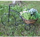 78638-a Gift Metal Tricycle 738362050790