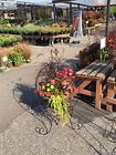 80075 Artscapes Oval Plant Stand Stands Garden Cor Yard Outdoor Living