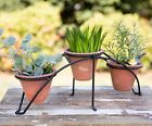 801106172017.00 Undisclosed Arched Garden Stand With