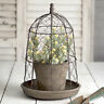 801106186397 Ctw Home Collection Chicken Wire Cloche With Terra