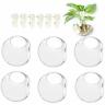 803257137969 Geoterrariums Wall Hanging Planters Glass Terrariums Round Air