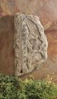 0331711 80617 New Creative Decorative Leaf Pattern Thermometer Resin Outdoor 033171806171