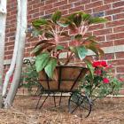 81026 Patio Life Wheelbarrow Flower