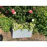 31.1x14.6x 812366030887 Guagndong Creative Stone Garden Decoration Lightweight Concrete Modern
