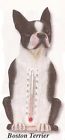 8155 Spoontiques Boston Terrier Resin