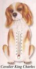 8224 Spoontiques Cavalier King Charles