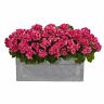 840703188106 Nearly Natural Geranium Stone Planter Uv Resistant Indoor