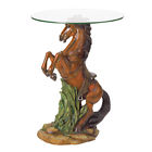 849179012243 Accent Plus Majestic Stallion