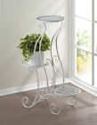 849179037789 Summerfield Terrace White Iron Curlicue Design Tier Plant